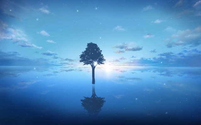 Lone tree reflection night starry free wallpaper for desktop - medium preview image