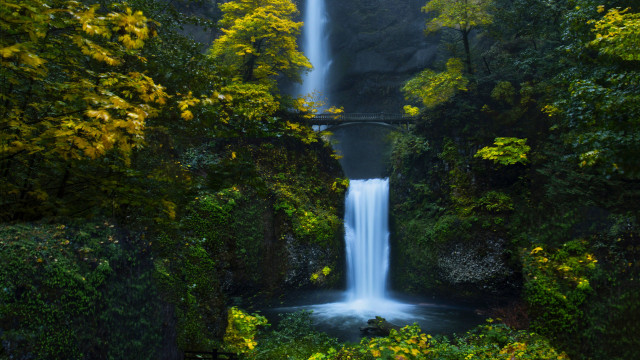 Waterfall bridge forest person night free wallpaper for desktop - medium preview image