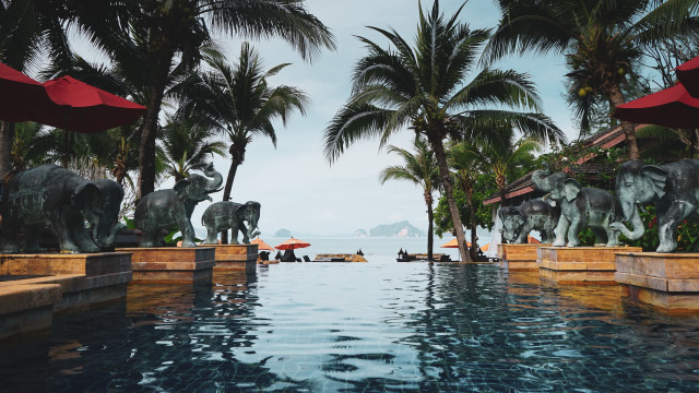Pool elephants statues palm trees free wallpaper for desktop - medium preview image