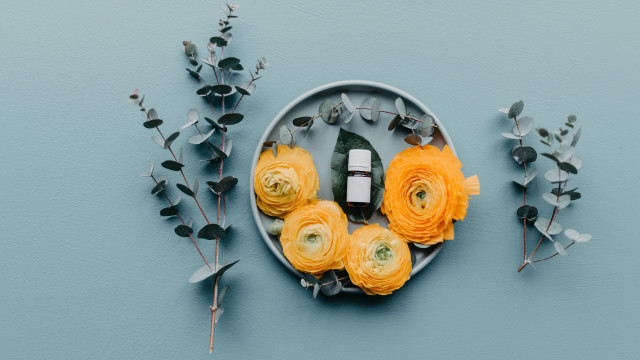 Plate flowers perfume blue leaves free wallpaper for desktop - medium preview image