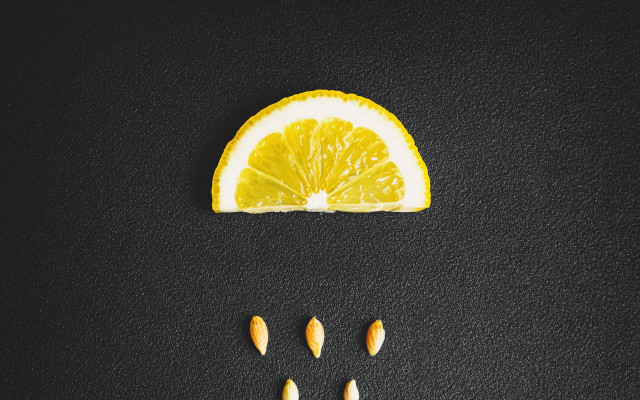 Orange slice lemon nuts black free wallpaper for desktop - medium preview image