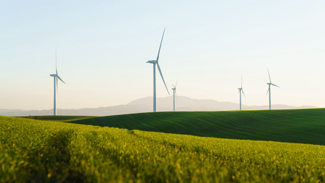 Green grass wind turbines blue free wallpaper for desktop - medium preview image