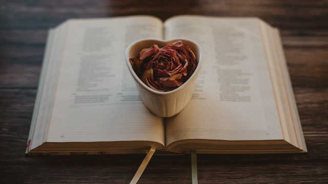 Book flower tea matchstick roses free wallpaper for desktop - medium preview image