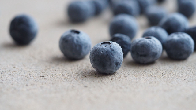 Blueberries ground macro photorealism blurry free wallpaper for desktop - medium preview image