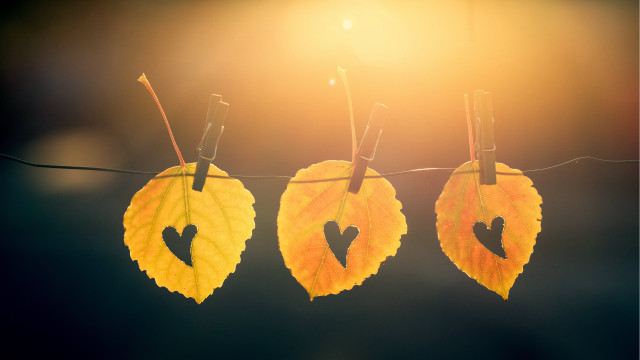 Leaves heart cut out autumn free wallpaper for desktop - medium preview image