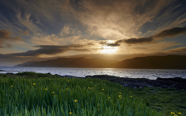 Sunset mountain water grass flowers free wallpaper for desktop - medium preview image