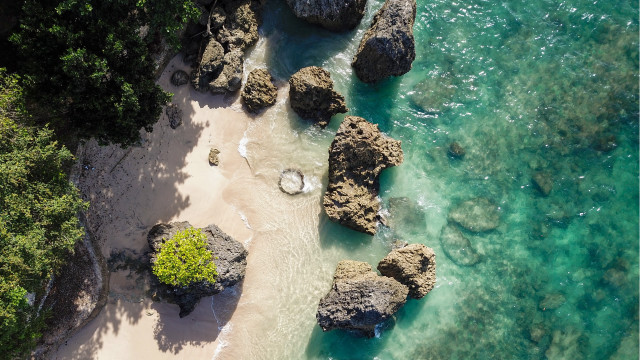 Beach rocks water forest landart free wallpaper for desktop - medium preview image