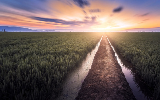 Dirt road sunset stream grass free wallpaper for desktop - medium preview image