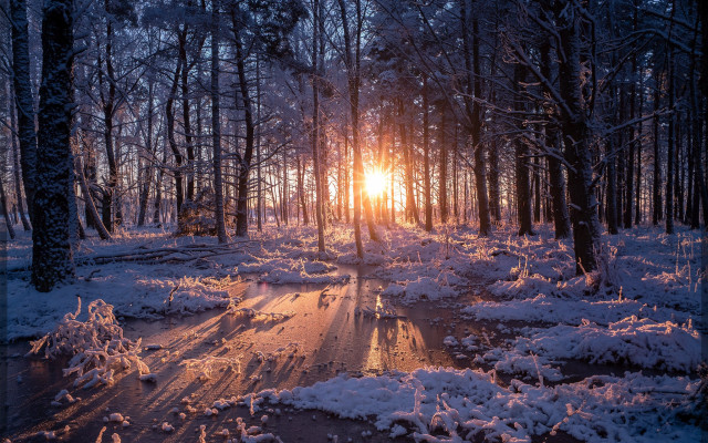 Sunset snowy forest puddle night free wallpaper for desktop - medium preview image