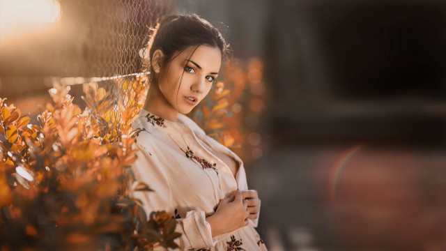 Elina karimova portrait autumn fence free wallpaper for desktop - medium preview image
