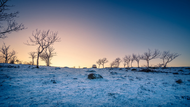 Snowy field trees sunset mountains free wallpaper for desktop - medium preview image
