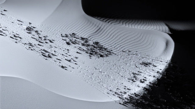 Brush black dots white surface free wallpaper for desktop - medium preview image