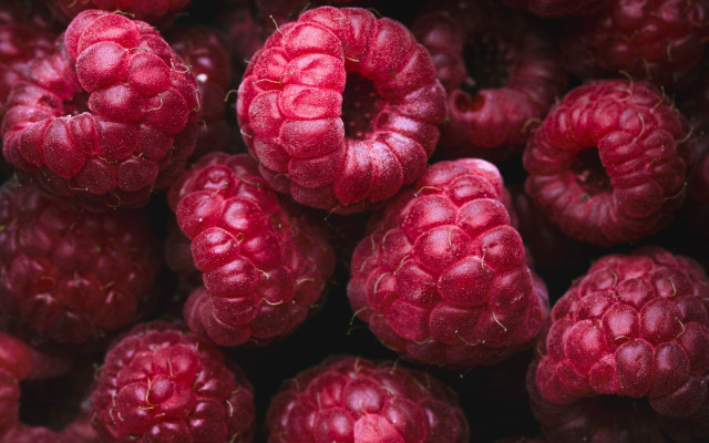Raspberries macro closeup food fruit free wallpaper for desktop - medium preview image
