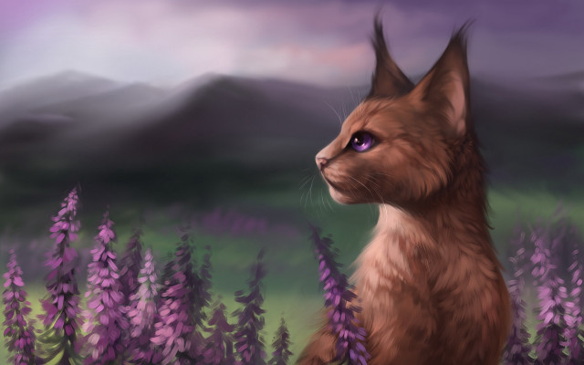 Cat purple eyes flower field free wallpaper for desktop - medium preview image