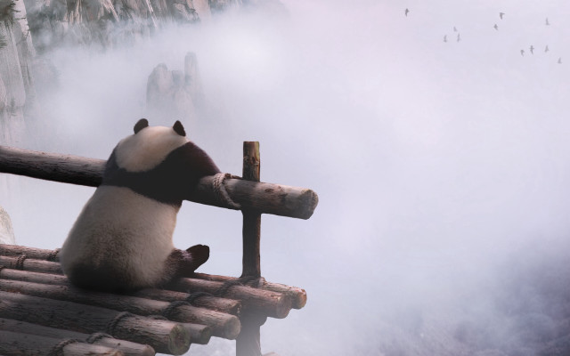 Panda bamboo roof mountains foggy free wallpaper for desktop - medium preview image