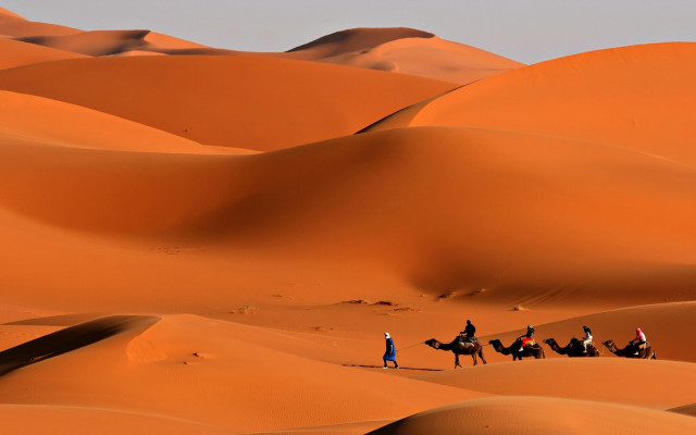 Camel riders desert landscape sahara free wallpaper for desktop - medium preview image