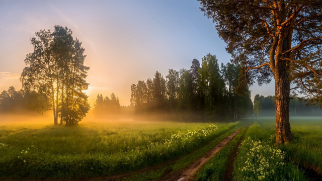 Sunset dirtroad trees lake mountain free wallpaper for desktop - medium preview image