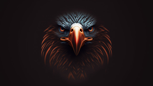 Bird beak angry portrait stokes free wallpaper for desktop - medium preview image