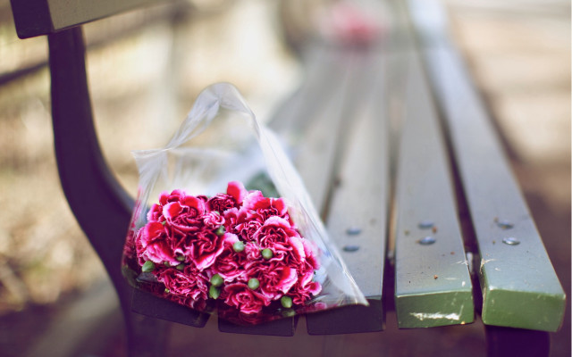 Flower bouquet plastic bag park free wallpaper for desktop - medium preview image