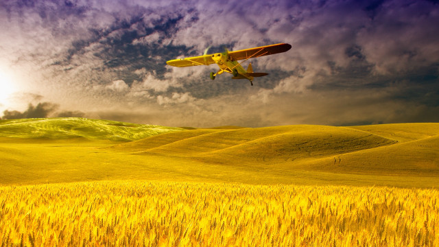 Plane wheat field cloudy sky free wallpaper for desktop - medium preview image