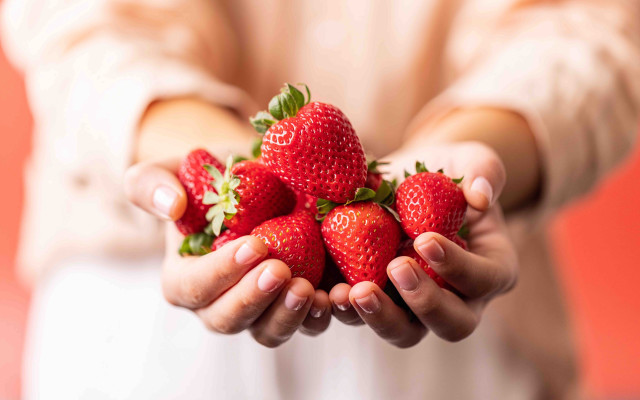 Strawberry hands red background closeup free wallpaper for desktop - medium preview image