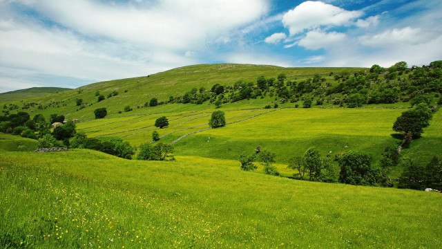 Lush green hillside blue sky #2 free wallpaper for desktop - medium preview image