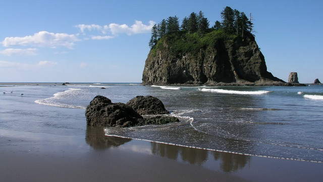 Beach rock formation trees ocean free wallpaper for desktop - medium preview image