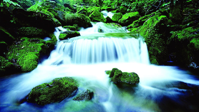 Small waterfall forest mossy rocks #3 free wallpaper for desktop - medium preview image