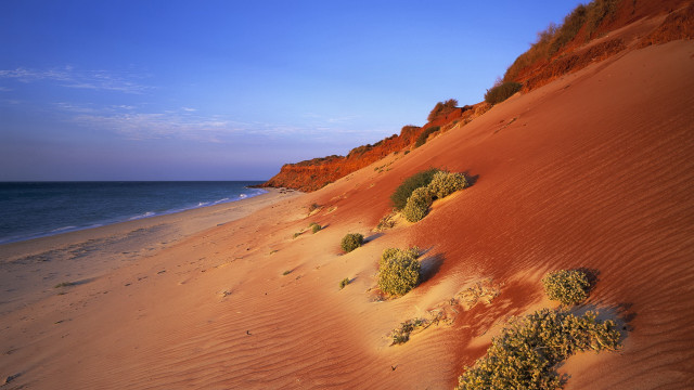 Sandy beach bushes ocean cliff free wallpaper for desktop - medium preview image