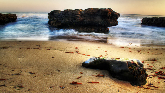 Beach rock water blood outcropping free wallpaper for desktop - medium preview image