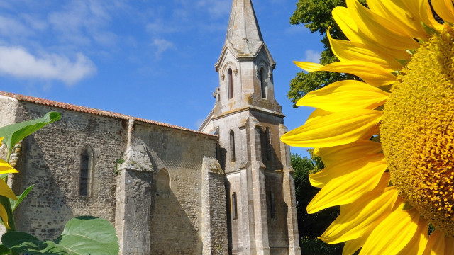 Sunflower church blue sky flemish free wallpaper for desktop - medium preview image