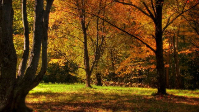 Autumn leaves fall foliage hudson free wallpaper for desktop - medium preview image