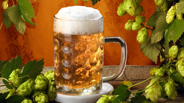Beer mug hops wall digital free wallpaper for desktop - medium preview image