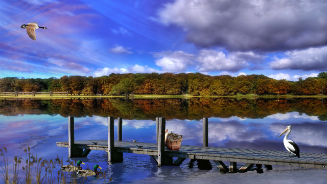 Bird dock lake boat sky free wallpaper for desktop - medium preview image