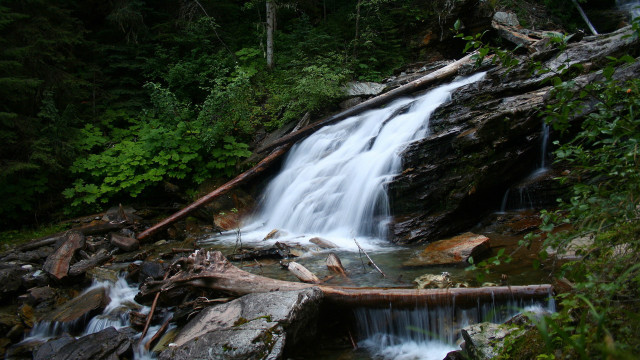 Waterfall woods fallen branch log free wallpaper for desktop - medium preview image