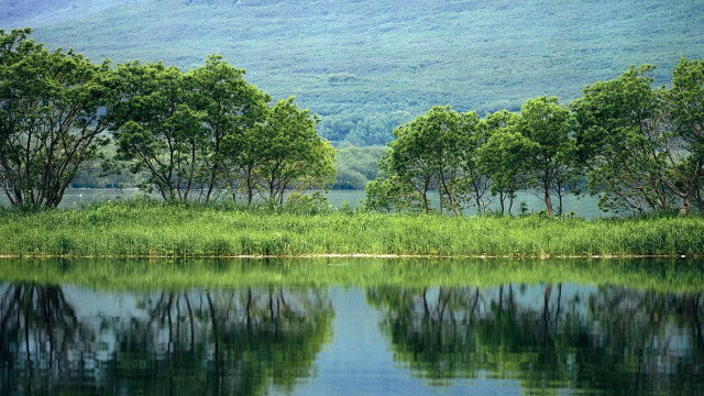Lake forest mountain sky nature free wallpaper for desktop - medium preview image