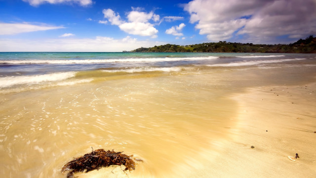 Sandy beach wave island trees free wallpaper for desktop - medium preview image