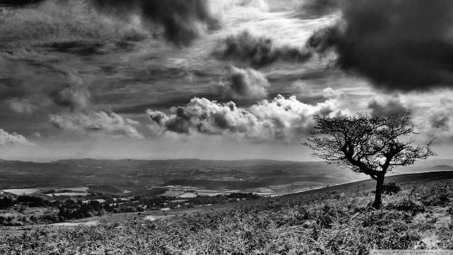 Lone tree hill cloudy sky #2 free wallpaper for desktop - medium preview image