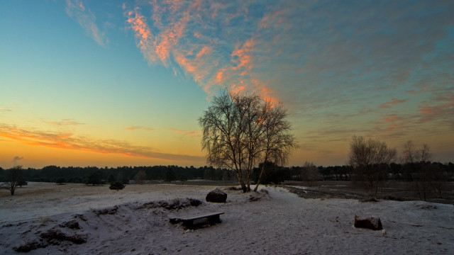 Sunset tree snow benches matte free wallpaper for desktop - medium preview image