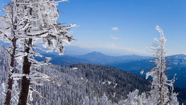 Snowy mountain trees blue sky #13 free wallpaper for desktop - medium preview image