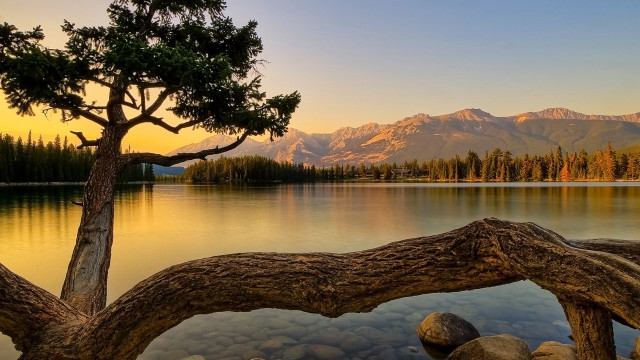 Tree branch lake mountains sunset free wallpaper for desktop - medium preview image
