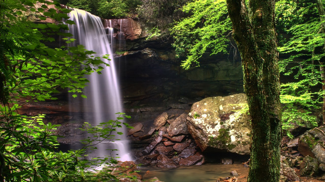 Waterfall forest rocks trees people free wallpaper for desktop - medium preview image