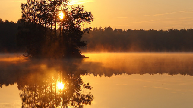 Lake tree sunset fog autumn free wallpaper for desktop - medium preview image