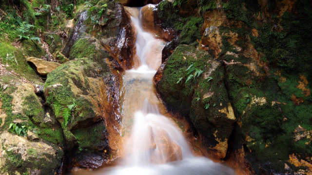 Small waterfall mossy rocks forest free wallpaper for desktop - medium preview image