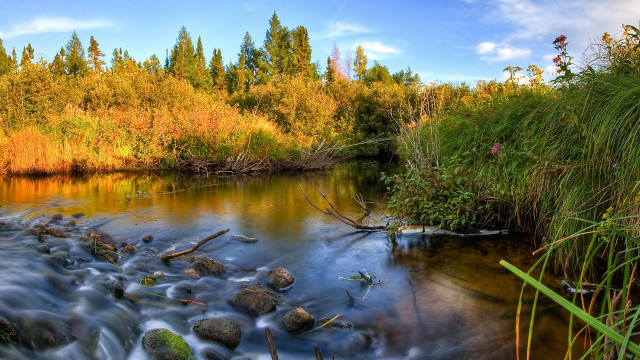 River forest autumn leaves campfire free wallpaper for desktop - medium preview image