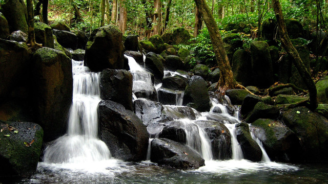 Tropical waterfall forest rocks trees free wallpaper for desktop - medium preview image