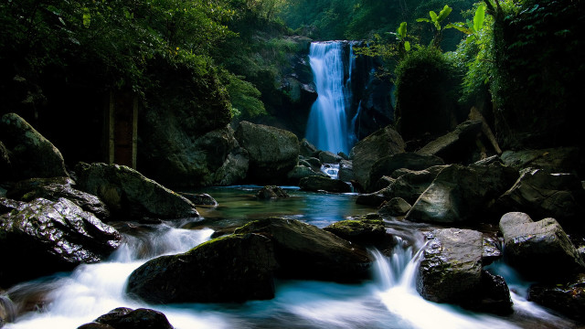 Waterfall forest rocks stream nature free wallpaper for desktop - medium preview image