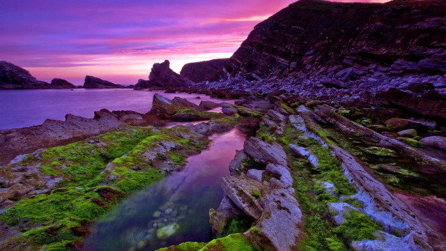 Rocky beach mossy rocks purple free wallpaper for desktop - medium preview image
