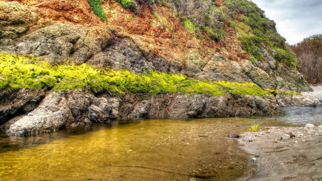 Rocky cliff river grassy trees free wallpaper for desktop - medium preview image