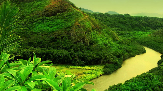 River forest hillside mountain green free wallpaper for desktop - medium preview image